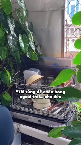 Công suất mạnh, chén sạch, sấy nhanh – combo hoàn hảo 💪 #Cuckoo #CuckooVina #BRX #maysaychen