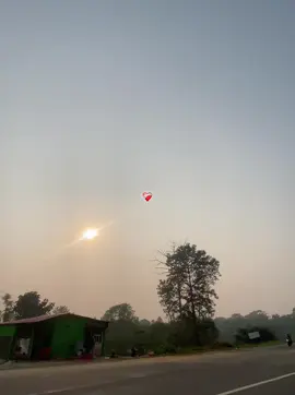 #fyp #foryou #viralvideo #support #naturelover 