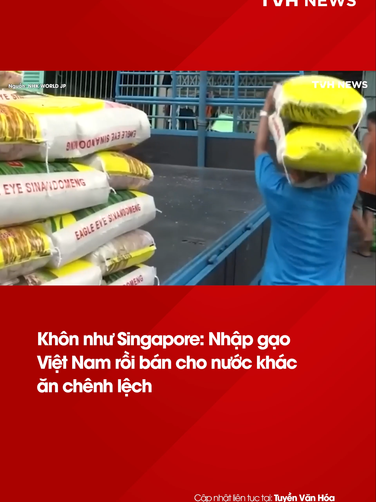 Khôn như Singapore: Nhập gạo Việt Nam rồi bán cho nước khác ăn chênh lệch #tvhnews #tvhxahoi #tintucgiaitri #fbnews #tuyenvanhoa