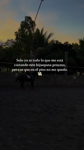 🚀🙌🏼#trusttheprocess #paratiiiiiiiiiiiiiiiiiiiiiiiiiiiiiii #motivacion #personal 