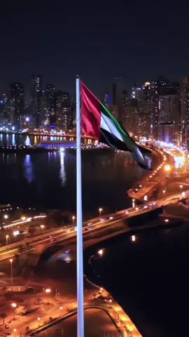 #يوم_العلم_الاماراتي #🇦🇪 #يوم_العلم🇦🇪 #ارفعه_عاليا_ليبقى_شامخا 