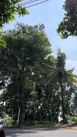 kuangen #mxking #mxprostreet #foryou 