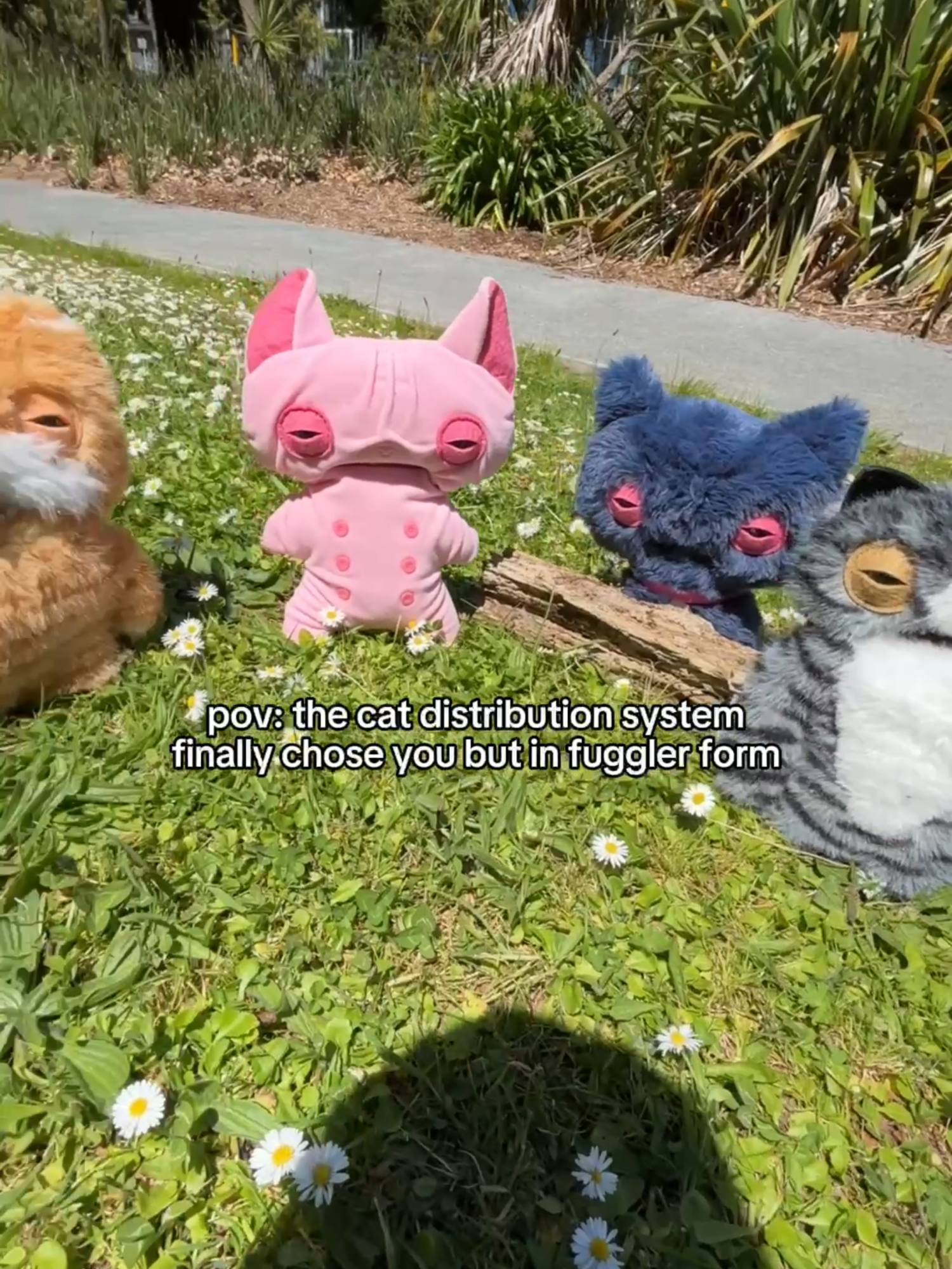 the alley cats picked YOU. sorry we don’t make the rules 😼⚠️ #fugglers #newlaunch #alleycats