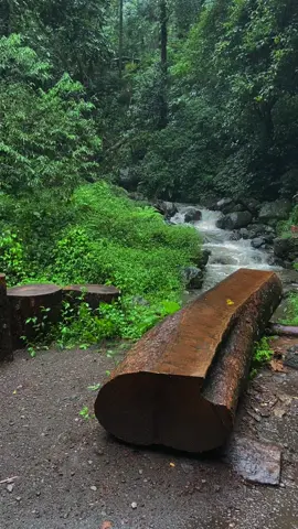 #threesixty #foryou #fypシ゚ 