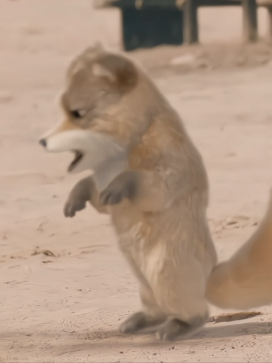 =)))) #_annaaday_ #chengyi #thatnguyet_team #thiendiakiemtam  [ 12:00 ]