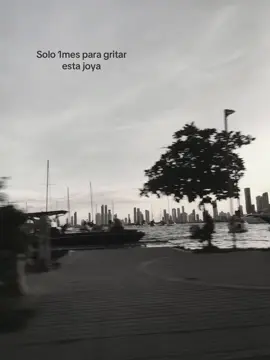 Solo 1 mes🥲#parati#2026#reelsviral 