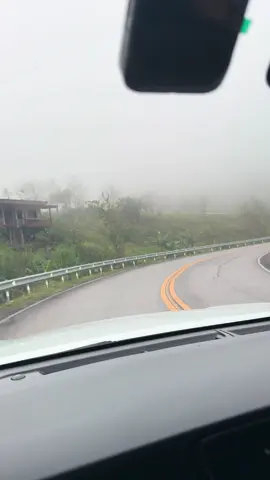 ดีต่อใจจริงๆ 🌫️✨💕#ฟีดดดシ #ฟอจูนเนอร์ #ภูทับเบิก #ทะเลหมอก #ลมหนาว 