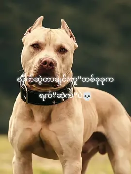 ရက် ''စက်''ပဲ💀#fypage #fypシ゚ #fyppppppppppppppppppppppp #tiktok myanmar