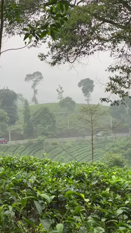 kebelet pipis😄😄😄