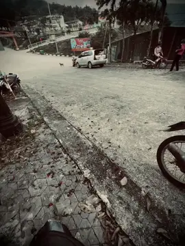 : 爱情是美好的，但爱情有时也会让人盲目…” 