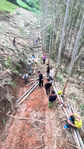 chủ xưởng nào thích hàng to dài khủng tối em ship xuống nhà feeship luôn nha #xuhuongtiktok #xuhuongtiktok #xuhuongtiktok2024 