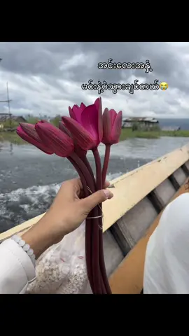 #နော် #thankb4youdo #fyppppppppppppppppppppppp 