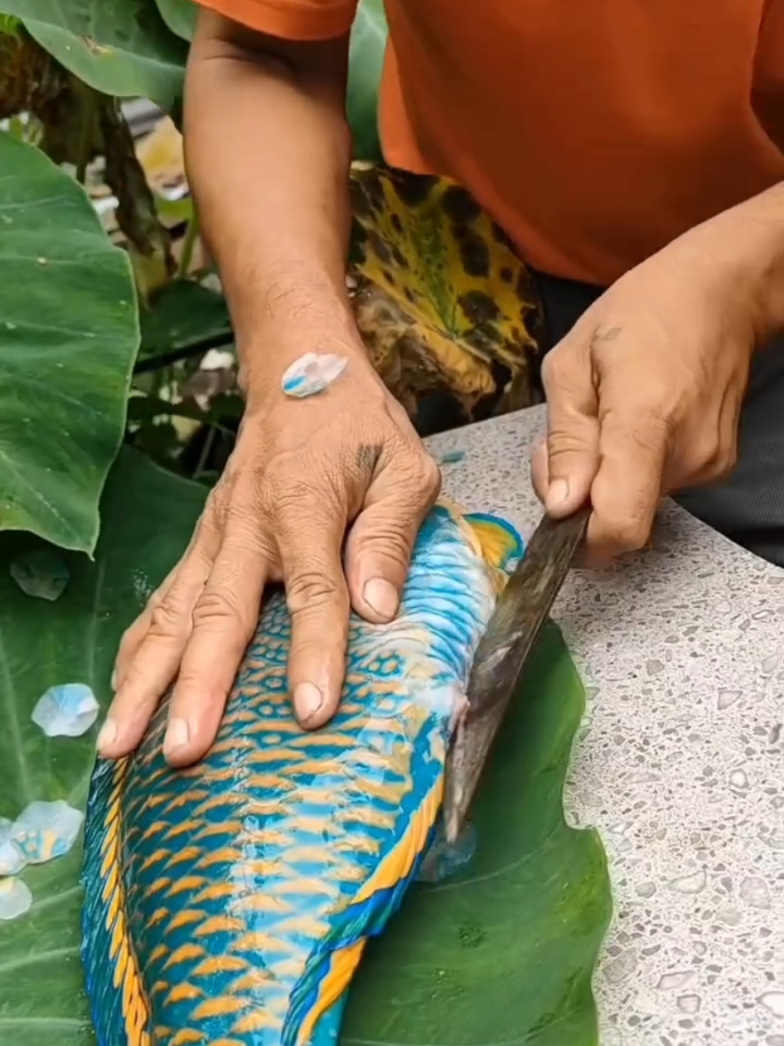 #fshing #اسماك_البحر #البحار 