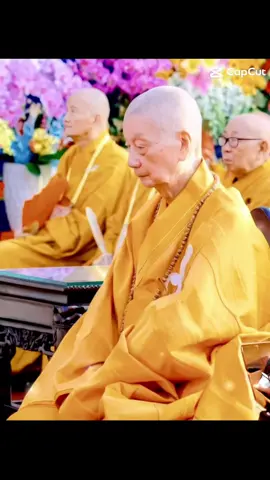 Ngồi không nghĩ bậy , nói bậy thì đoạ  Nên ngồi không thì phải Niệm Phật  Niệm Phật là pháp tu thù thắng  Trưởng Lão Hòa Thượng : Thích Trí Quảng  #xuhuong  #phatphapnhiemmau  #phatphap 