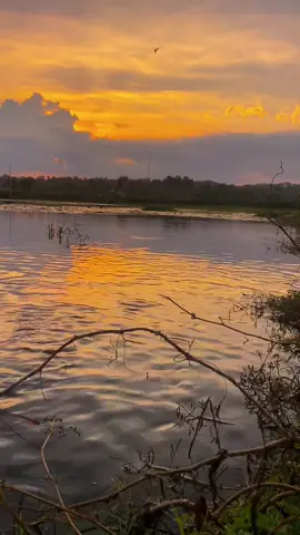 kata kata nya sdra⚡️ #storywhatsapp #storywakeren #masukberanda #fypviral #bugistiktok 