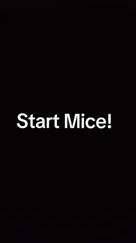 Mice part 1