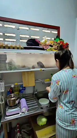 ตอบกลับ @ampha99 ข้าวเจ้าค่ะตราฉัตรข้าวนิ่มดีมาก#ทําความสะสะอาด #ของตกแต่งห้อง #ฟีดดดシ 