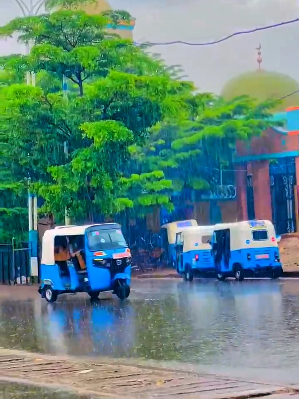 Nagele Borena #nagele #borena #ethiopian_tik_tok #oromotiktok #fyp 