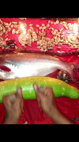 কবিরাজি কাজের ভিডিও ১০০% যেকোনো সমস্যার জন্য আমাদের সাথে যোগাযোগ করবেন সমাধান  #তান্ত্রিক_ভিডিও #foryou #fyd #ফরইউতে_দেখতে_চাই #100k 