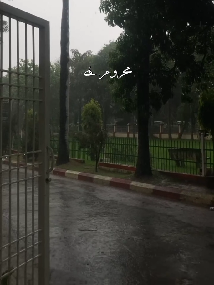 mara Safar ,Safar 🥹🖤🥀 .#zoddanish 