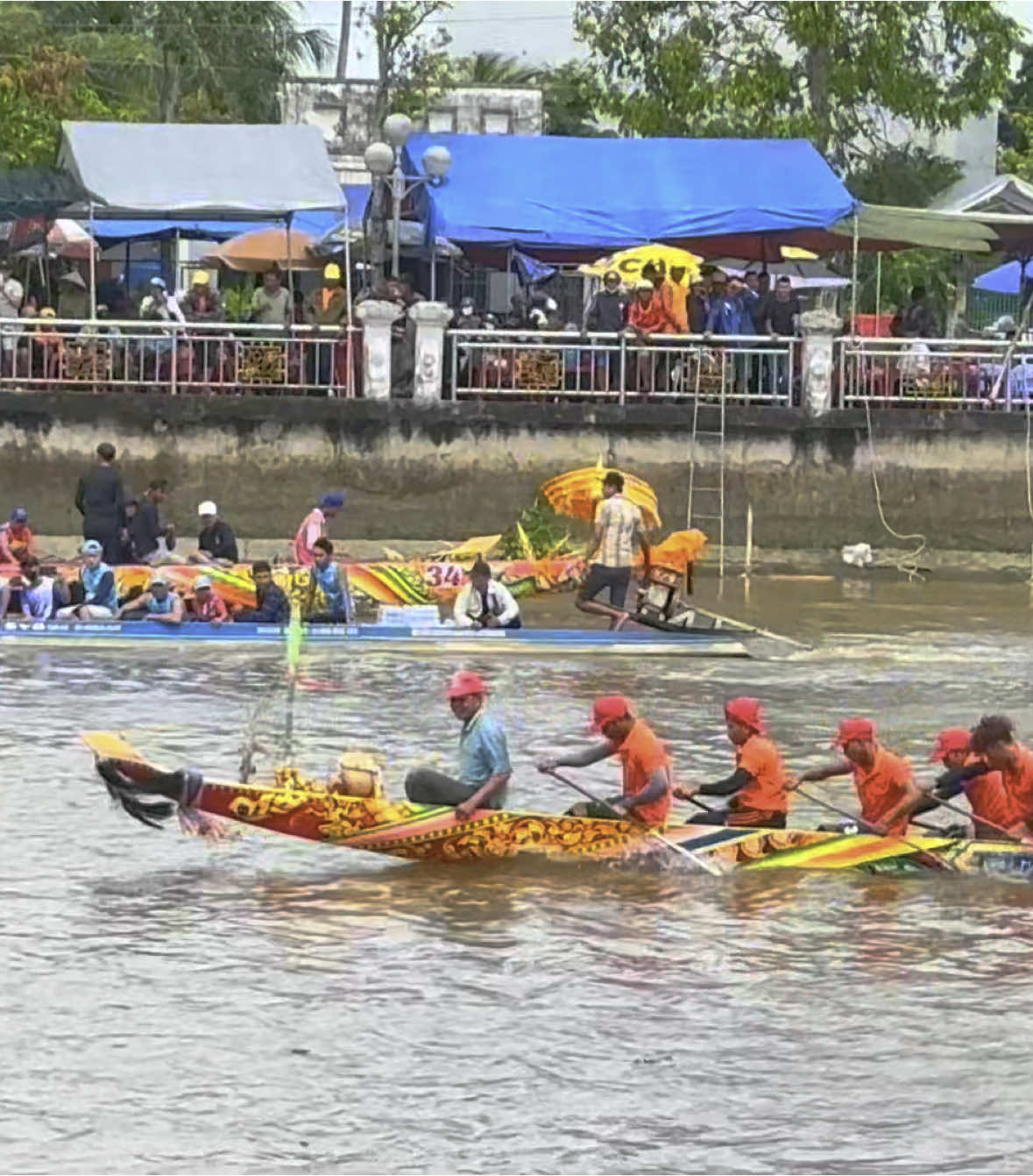 Ngo ngo có mặt tại dong song maprero 3/11