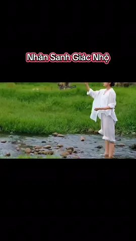 Nhân sanh giác ngộ #giacngo #phatphap #mitienvandap #loiphatday #tapbuongbo96 