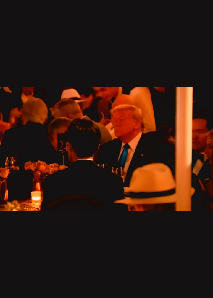 The Tale Of Two Americas #fyp #hungergames #greatgatsby 