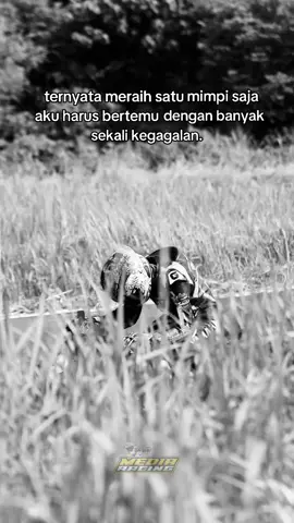 #fyp #masukberanda #katakata #mediaracing #fyppageforyou 