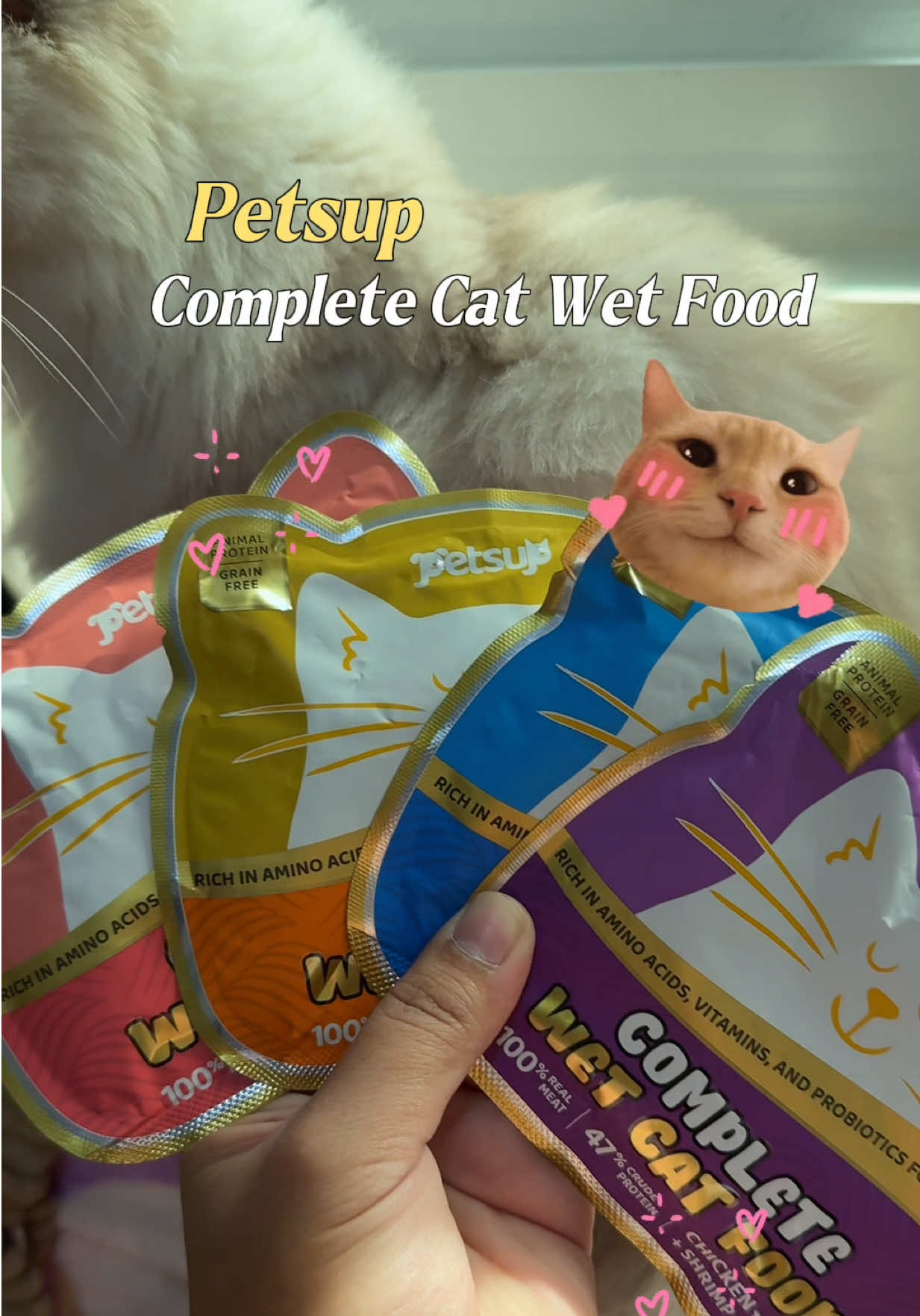 I’m happy to partner up with Petsup and share to everyone about this new product! ❤️ The complete cat wet food is such a cute packaging! ❤️  I learned alot from this collaboration, from costing, raw materials, packaging, legal and technical stuff behind the scenes… there’s so much that goes on before you see a finished product out in the market like this!  I hope you support my first ever live on November 7 at 7pm with Petsup kasi talagang puspusang back and forth talaga kami just to make this partnership work without me breaking any of my beliefs and values as a catmum!! 🫶🏻 See you there!!