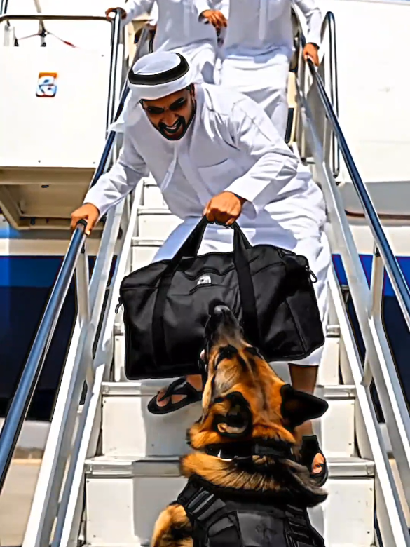 America 🇺🇲 Airport Panic  Dog Who Protected Hundreds 😱  #2million #unfrezzmyaccount #newyork #foryou #Rpm 