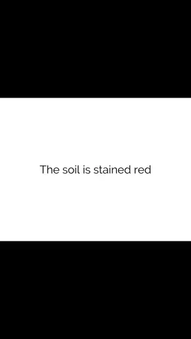 All eyes on Sudan #Sudan #sudanese #africa #fy #foryoupage #fypシ #fypシ゚viral #speakup #useyourvoice #viral 