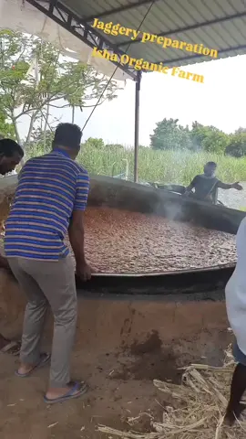 Street food #foryoupage #creatorsearchinsights 