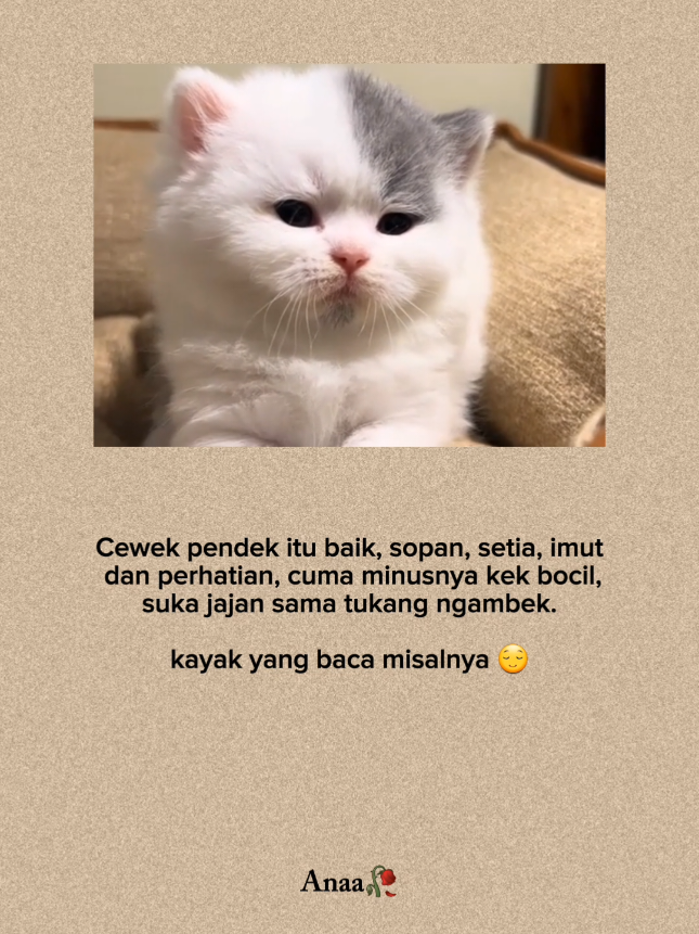 #quoteslucu #kucing #indiasong #foryou #xbcyza 