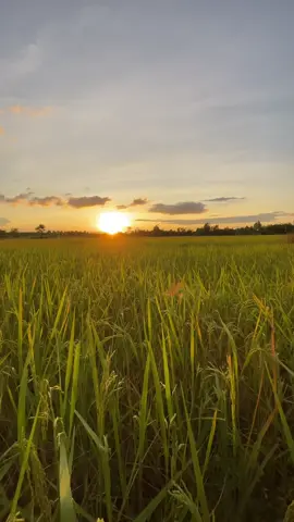 ฮักเจ้าเด้อ#เธรดเพลง #fyp #ยืมลงสตอรี่ได้ 