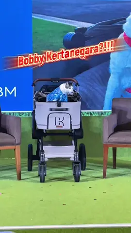 Seenggaknya Bobby tau Minbul Hidup🥹 #bobbykertanegara #iipe2025 