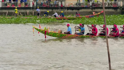 Ông vua đề pa norin rensey ong kho 👍✅🥇#xuhuong #watpichvinhchau❤️🥰 #duaghengosoctrang #duavolai #vinhchau 