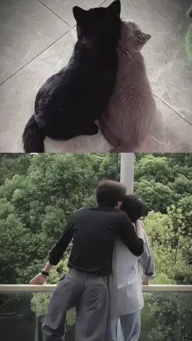 thề 2 đứa này yêu nhau chắc luônn😭#dienhuninh #tudu #_12th28 #tuongvy👽 #tolatuongvy👽 