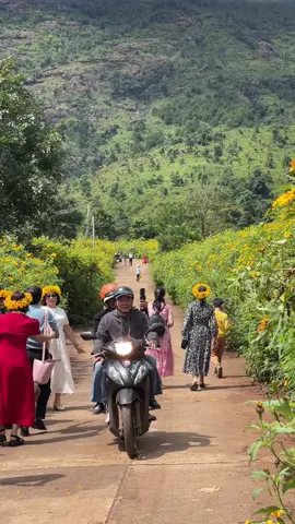 #DulịchKonTum_Gialai_MăngĐen núi lửa Chư Đăng Ya 12h trưa mà khách vẫn đông