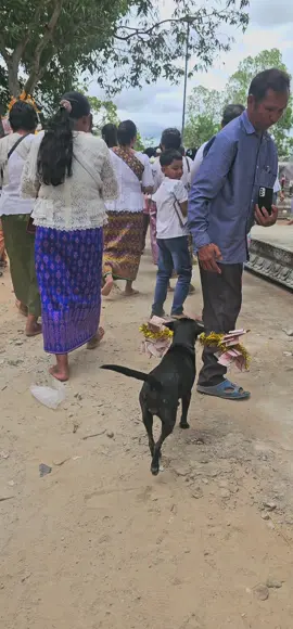 គាត់ជោគជ័យ#viraltiktok #tiktokindia #tiktokindia 