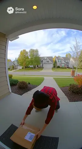 Porch pirate 