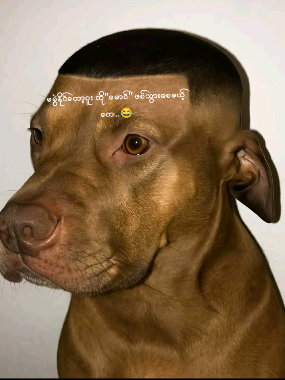 #မင်းတို့ပေးမှ❤ရမဲ့သူပါကွာ #အားပေးကြပါအုံးဗျာ😍😍😍😍 #ရောက်ချင်တဲ့နေရာရောက်👌 #အသဲလေးတော့ပေးသွားနော်😍 #ရောက်စမ်းfyp 