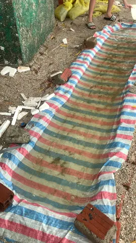 thk nào dô đua 🤣🤣#viral #bobo #fyb 