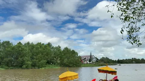 Đầu Sấu Cà Mau Chào ae Sóc Sà Bai Nha #oocomboksoctrang #đuaghengosoctrang #xuhuong 