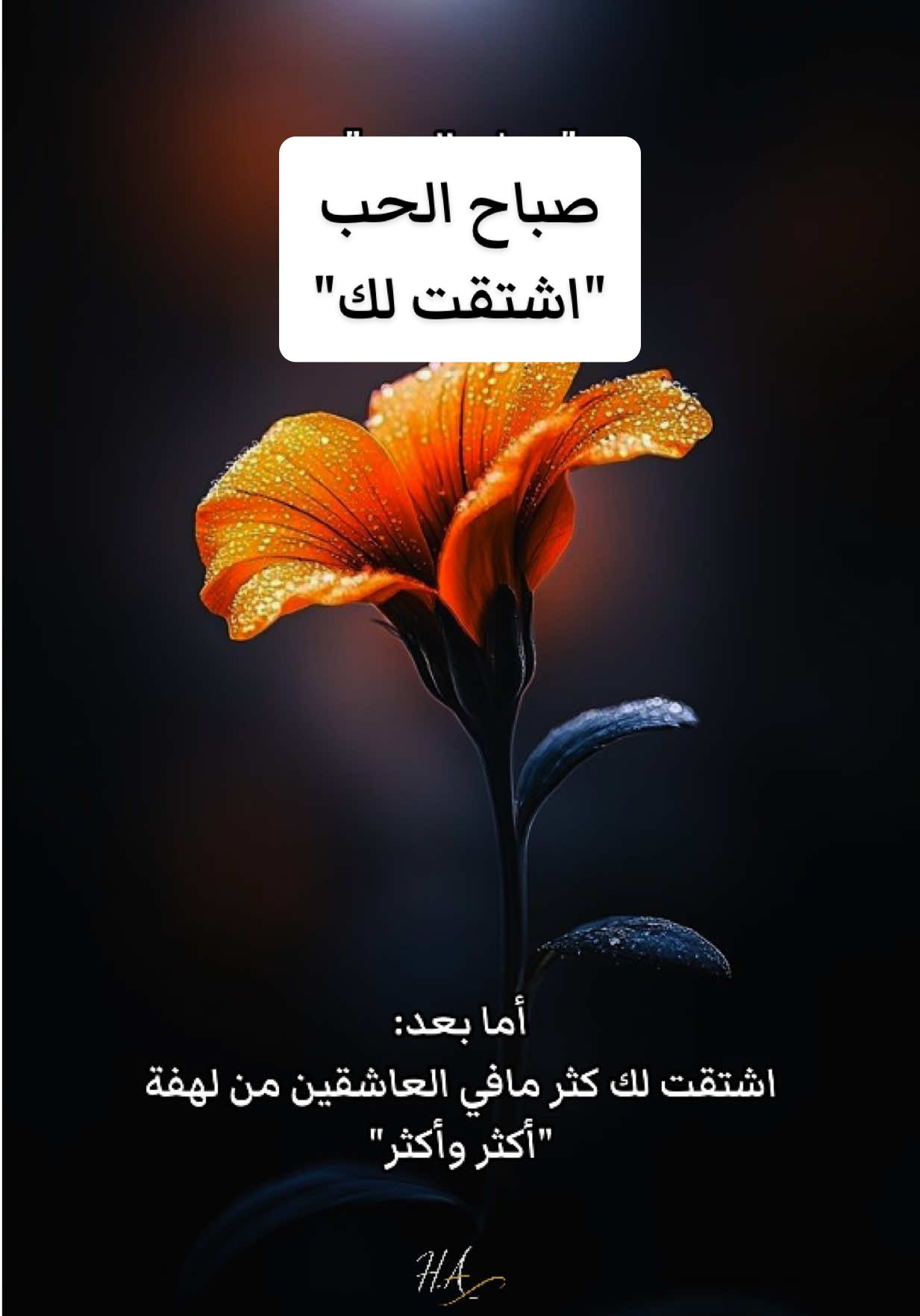 صباح الحب أما بعد: اشتقت لك كثر مافي العاشقين من لهفة 