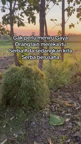 Semangat💪#peternakmuda #peternaksapi #fypシ゚ #foryou #fyppppppppppppppppppppppp 