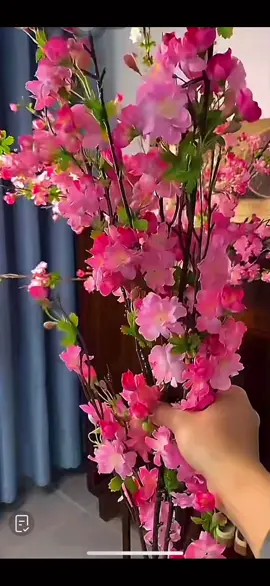 Hoa đào rừng kép#hoadaorung #hoagia 