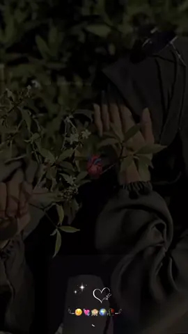 𝘢𝘮𝘦𝘦𝘯 sum ameen🙂🥺❤