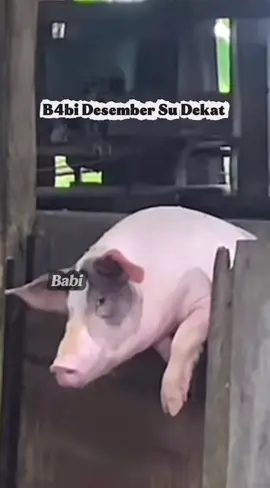 #fyppppppppppppppppppppppp 