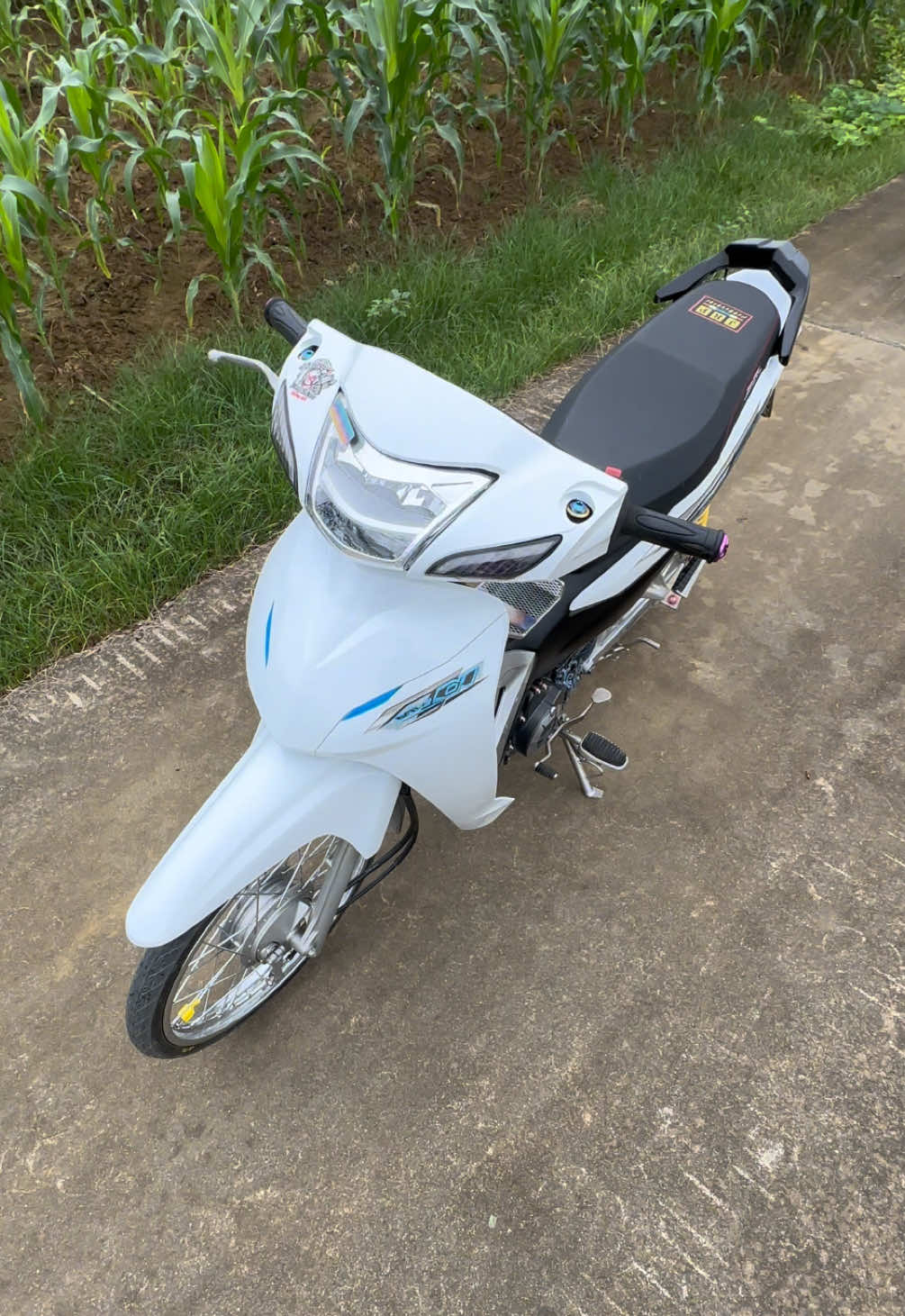 Chán thời tiết này dắt xe ra xong lại dắt vào.☔️🙄 #ankphinhon #w38885 #wavedokieng#ưw9phutho #xuhuong 