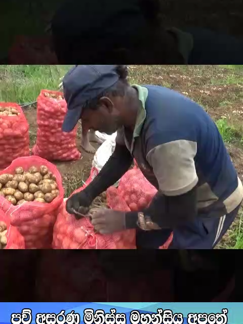 වැලිමඩ අර්ථාපල් ගොවීන් අන්ත අසරණ ‍ෙයි WHATSAPP	:https://whatsapp.com/channel/0029VaeY09z1yT25z7NEJE0y YOUTUBE		:https://youtube.com/@srilankantribune?si=GfOxPZ_W-RlWW FACEBOOK	:https://web.facebook.com/srilankantribunenews